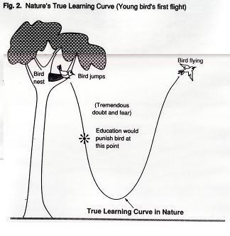 natures-true-learning-curve1